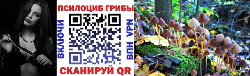 Купить  Новороссийск  Псилоцибиновые грибы Magic Shrooms 